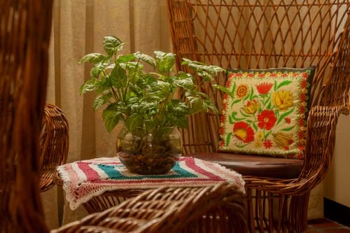 Vastu Plants 9 Plants That Bring Positive Energy (and 4 to Remove from Your Home)