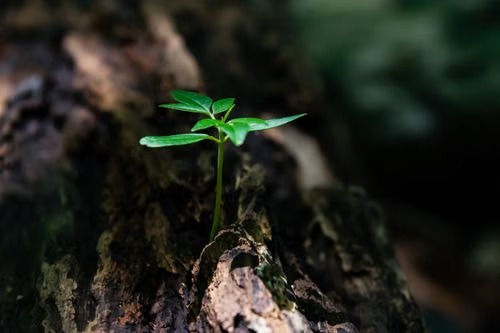 Akshaya Tritiya Why It's Considered Auspicious for New Beginnings