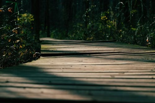 Life Path 7 Meaning Why You're Wired for Solitude, Wisdom & Purpose